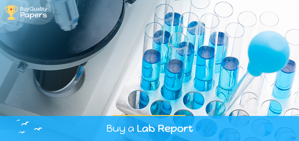 Buy lab report
