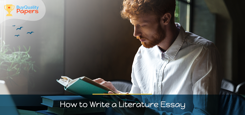 How To Write a Literature Essay Perfect